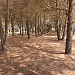 Amber Albania 4* Spille