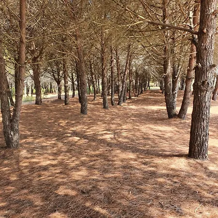 Amber Albania 4* سبيل