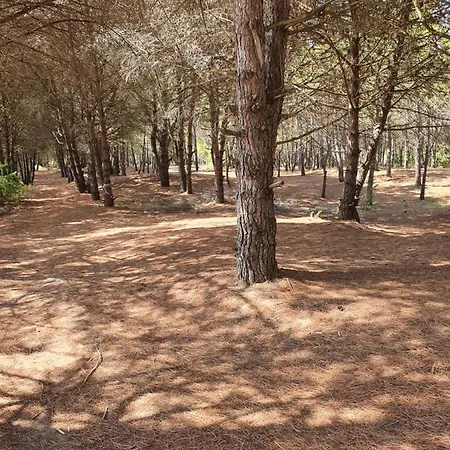 Amber Albania سبيل