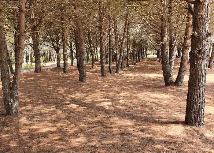 Amber Albania 4* Spille